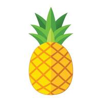 Whole and sliced fresh fruit pineapple colorful icon vector