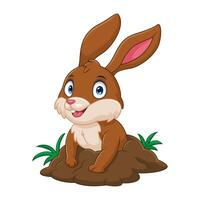 Cartoon rabbit emerged from the hole vector