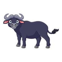 Cartoon African buffalo isolated on white background vector