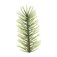 Christmas branch isolated on white background vector