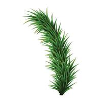 Christmas branch isolated on a white background vector