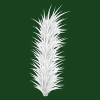 Christmas branch on a green background vector