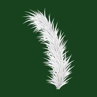 Christmas branch on the green background vector