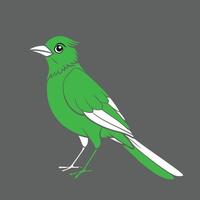 Bird art design vector