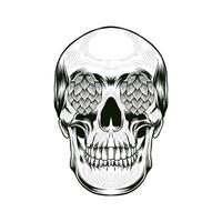 black and white illustration of a skull with hops in its eyes vector
