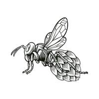 black and white illustration of a combination of bees with hops vector