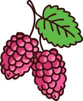 Mulberry Illustration with Leaves in Detail, Detailed illustration of two mulberries with a green leaf, showcasing their dark purple color and textured surface in a graphic style. vector