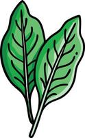 Cartoon Illustration of Green sorrel Leaves, illustration of two green sorrel leaves in a simple, cartoon style, highlighting fresh and healthy food elements. vector