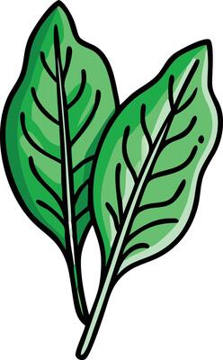 Cartoon Illustration of Green sorrel Leaves, illustration of two green sorrel leaves in a simple, cartoon style, highlighting fresh and healthy food elements.