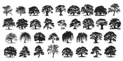 Diverse Tree Silhouette Collection vector