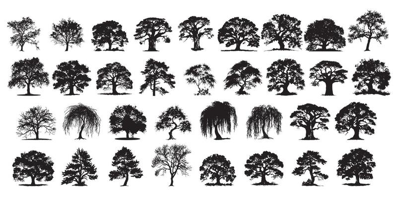 Diverse Tree Silhouette Collection