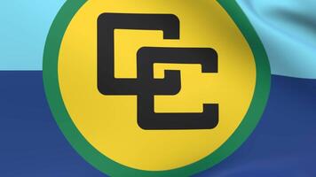 3d render flag of Caribbean Community video