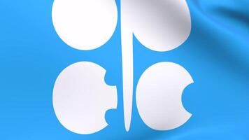 3d render flag of OPEC video