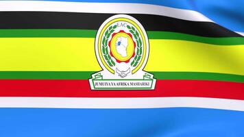 3d render flag of East African Community video