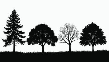 Silhouette of four different tree species standing against a clear sky, showcasing diverse shapes and foliage, from lush evergreens to bare branches. vector