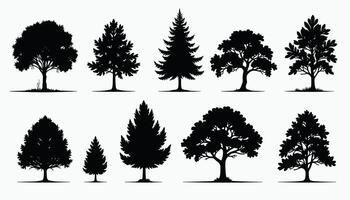 Silhouette illustrations of various tree species showcasing diverse shapes and foliage on a white background. vector
