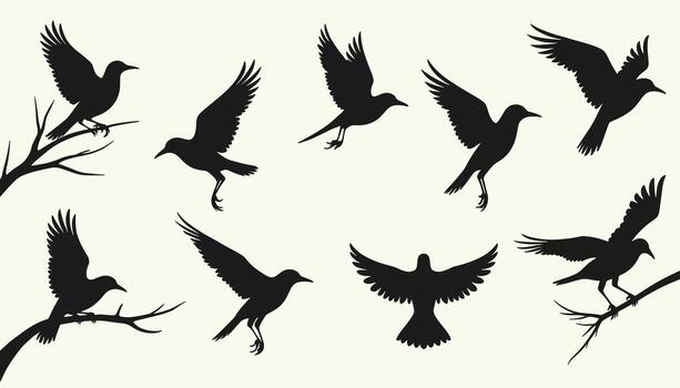 Silhouettes of birds in flight against a light backdrop, capturing the elegance and freedom of avian motion. vector