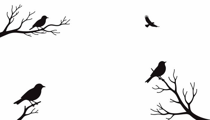 Silhouettes of birds perched on bare branches with one bird in flight against a stark white background.