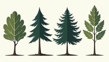 Illustration of four distinct tree types showcasing diverse leaf shapes and patterns against a light background. vector