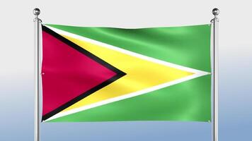 Guyana Flag Hangs On The Pole On Both Sides video