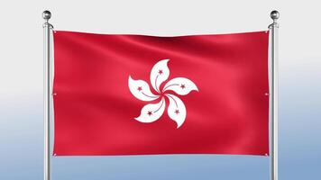 Hong Kong Flag Hangs On The Pole On Both Sides video