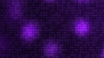 Digital Binary Code Background Purple video