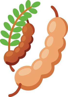 Cartoon Illustration of Tamarind Pods with Leaves, illustration of tamarind pods with green leaves, depicted in a simple, cartoon style, ideal for tropical or culinary themes.