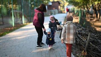 Mutter und Kinder genießen ein Tag beim das Zoo, Gehen entlang Pfad und beobachten Tiere video
