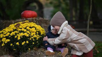 Two Happy Sisters Hugging in Autumn Scenery by Haystack and Yellow Flowers video