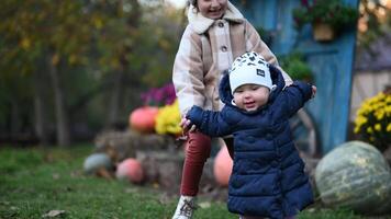 Two Happy Sisters Playing Together in the Fall Backyard video