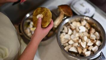 Person Slicing Fresh Mushrooms Preparing Porcini for a Delicious Meal video