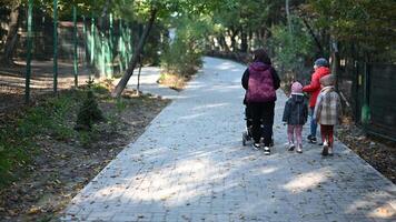 Mother Walks with Three Children and Baby Stroller in Park video
