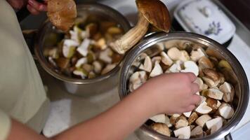 Person Slicing Fresh Mushrooms with a Knife Over a Pot of Water in the Kitchen video