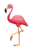 Flamingo cartoon illustration isolated on white background vector