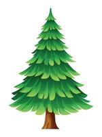 Pine tree cartoon illustration isolated on white background vector
