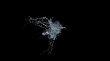 Splash of Water with Splashes and Droplets video