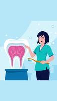 Dentist Talks About Protecting Your Teeth On Vertical 2D Cartoon Animation video