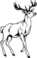 Majestic Deer Standing Tall With Mighty Antlers. vector