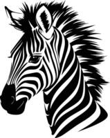 Zebra Portrait in Striking Black and White Stripes. vector