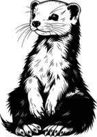 A Curious Weasel Posing in a Forest Clearing. vector
