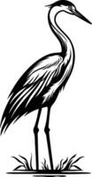 A Majestic Heron Stands Tall in the Water, Graceful and Serene vector