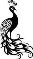 Elegant Peacock Silhouette With Majestic Feathers Display. vector