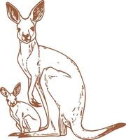 Mother and Baby Kangaroo vector
