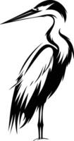 A Majestic Heron Stands Tall in Black and White. vector