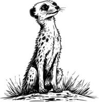 A Curious Meerkat Gazes at the Vast African Sky. vector