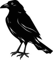A Raven's Silhouette Against a White Background. vector