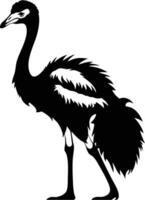 Majestic Silhouette of an Ostrich Standing Tall vector