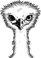 The Sharp Gaze of a Wild Bird, Intense and Striking. vector