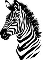 Majestic Zebra Portrait in Black and White. vector