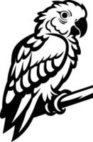 A Black and White Parrot Perched on a Branch. vector